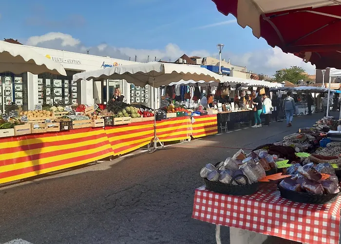 Lägenhet Mitoyenne T2 Avec Climatisation Et Parking, Face A La Mer, 4 Pers - Fr-1-798-58 Leucate